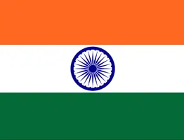 IN flag