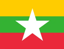MM flag